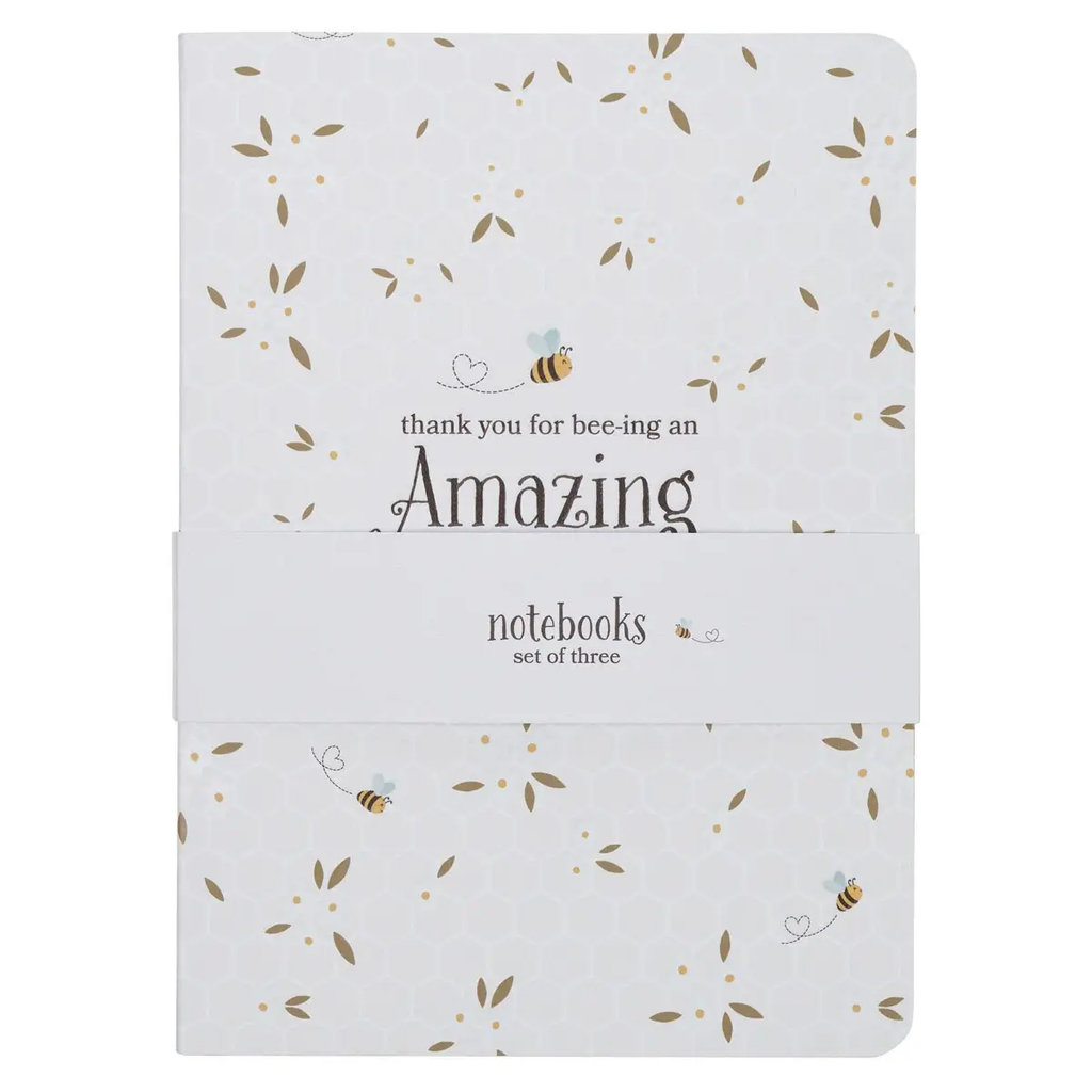Notebook Set 3pc Amazing Teacher